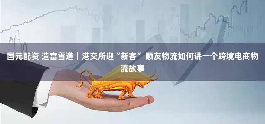 国元配资 造富雪道｜港交所迎“新客” 顺友物流如何讲一个跨境电商物流故事