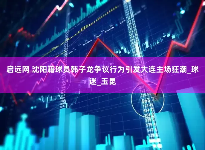 启远网 沈阳籍球员韩子龙争议行为引发大连主场狂潮_球迷_玉昆