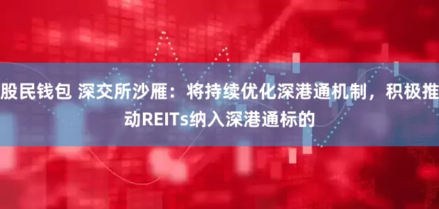 股民钱包 深交所沙雁：将持续优化深港通机制，积极推动REITs纳入深港通标的